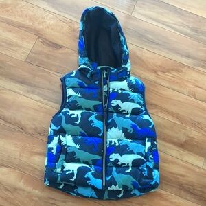 Dinosaur 🦖 Puffer Vest with Detachable Hood